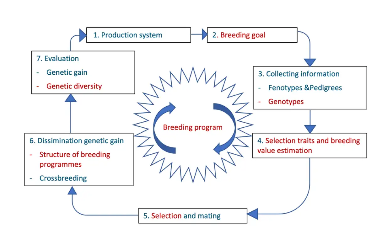 Textbook Animal breeding and Genetics - HBO (EN)