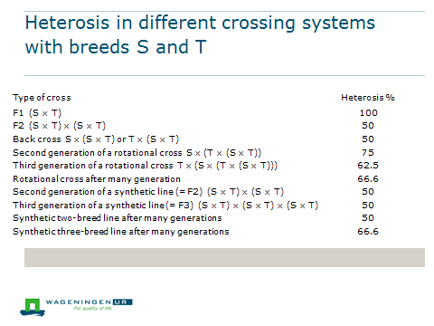 Chapter  The different crossbreeding systems and their applicability -  Textbook Animal breeding and Genetics - HBO (EN) - Wiki Groen Kennisnet